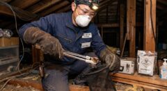 厚手の革手袋やマスクなどの防護具を着用し、道具を使ってコウモリを慎重に扱う日本人男性。感染症リスクを避けるための安全な捕獲手順。