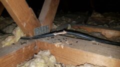 暗い天井裏で、ネズミによってかじられ、被覆が剥がれて中のワイヤーが露出した電気配線のクローズアップ写真。近くに糞や歯痕がある。漏電火災のリスクを示す。