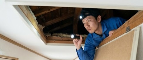 下関市の住宅で天井裏の点検口からヘッドライトを点けてネズミ被害を調査する日本人駆除員