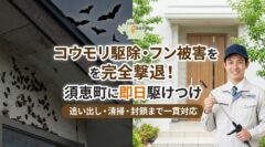 コウモリ駆除 フン 須恵町