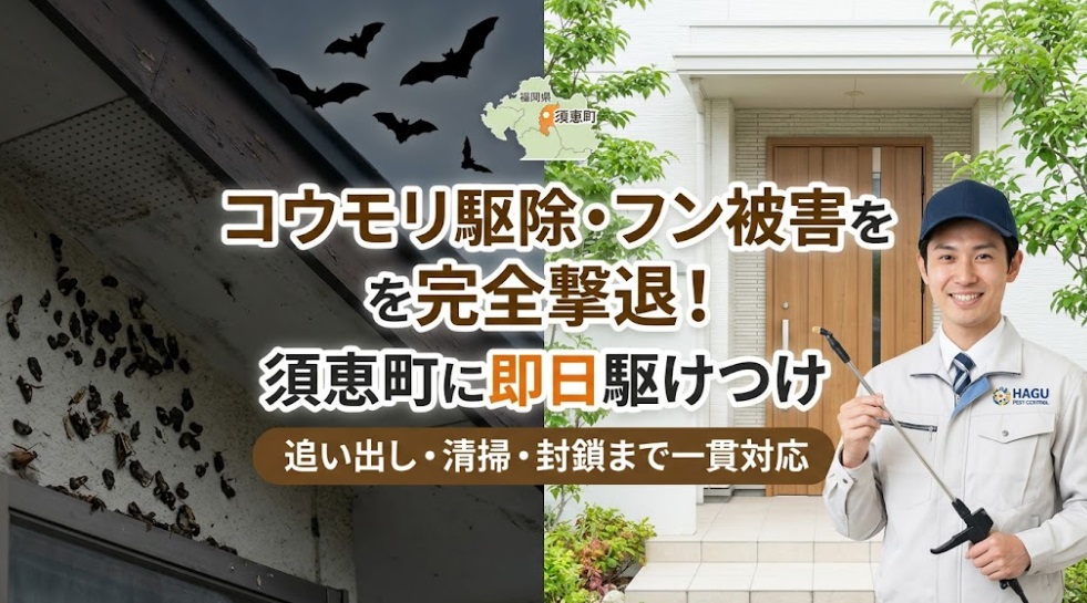 コウモリ駆除 フン 須恵町