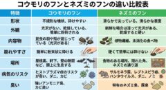 コウモリのフンとネズミのフンの見分け方比較表