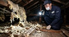 古い住宅の天井裏で、ネズミによってボロボロにされた断熱材と散乱するフンを、懐中電灯で照らしながら深刻な表情で調査する日本人専門業者スタッフ。高額見積もりの原因となる被害状況。