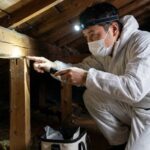 大野城市でネズミ駆除！費用相場や市役所の対応を徹底解説