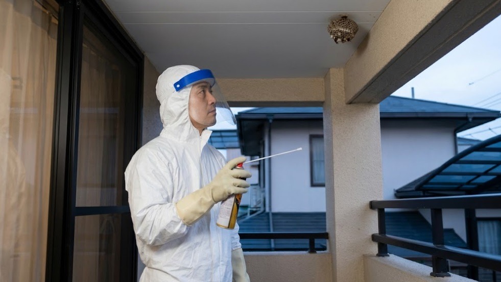 全身防護服を着用し、ハチ専用スプレーを持って小さなハチの巣を見上げる日本の男性