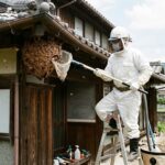 ハチ駆除を飯塚市でお考えの方へ！費用や補助金・おすすめ業者