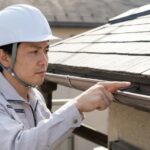 福岡市でコウモリ駆除を自分でする前の注意点と費用