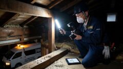 深夜に天井裏の調査を即日対応で行う、ライトを照らしたプロの駆除業者