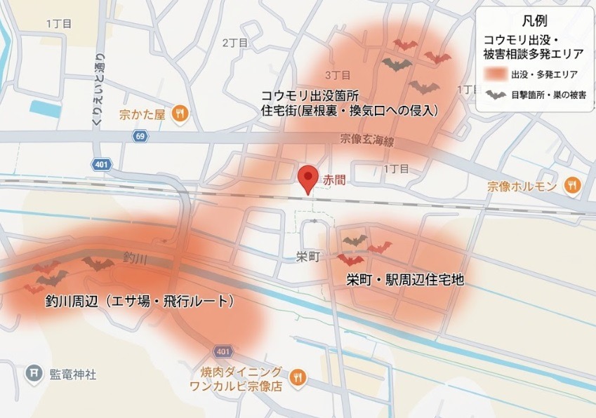 赤間駅周辺のコウモリ出没箇所