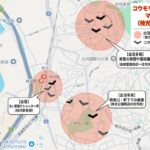 コウモリ駆除を枝光駅周辺で！費用相場と業者の選び方