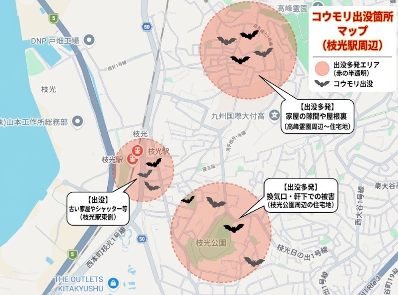 枝光駅周辺のコウモリ出没箇所
