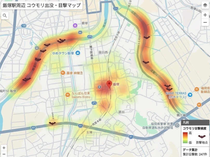 飯塚駅周辺のコウモリ駆除