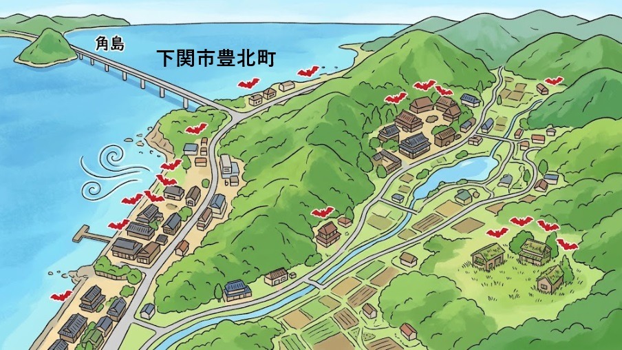 コウモリ駆除 豊北町