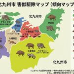 北九州市の害獣駆除マップと出没状況！プロの対策