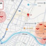 コウモリ駆除を古賀駅周辺で！費用相場とおすすめ業者の選び方