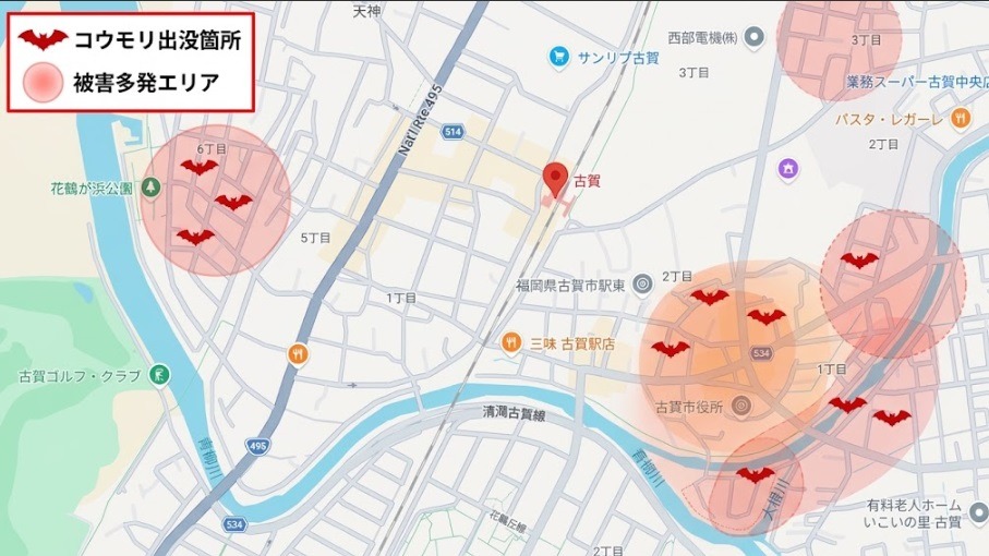 古賀駅周辺のコウモリ出没箇所