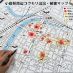 小倉駅周辺のコウモリ駆除！コウモリの「フンと鳴き声」被害と業者の選び方
