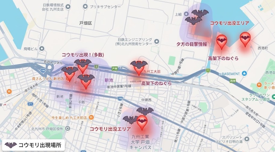 九工大前駅周辺のコウモリ出没箇所