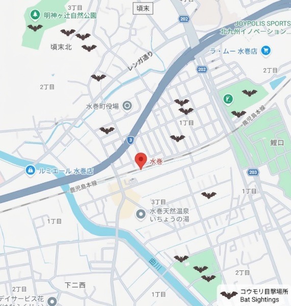 水巻駅周辺のコウモリ出没箇所