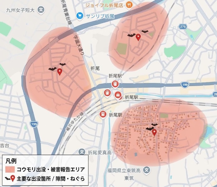 折尾駅周辺のコウモリ出没箇所