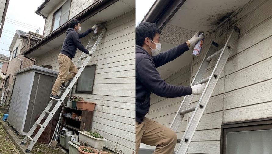 高いハシゴに登り、マスクを着用して住宅の軒下に市販の忌避スプレーを吹きかけようとする男性の危険な作業風景