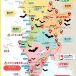 コウモリ駆除の下関市出没マップと確実な対策方法