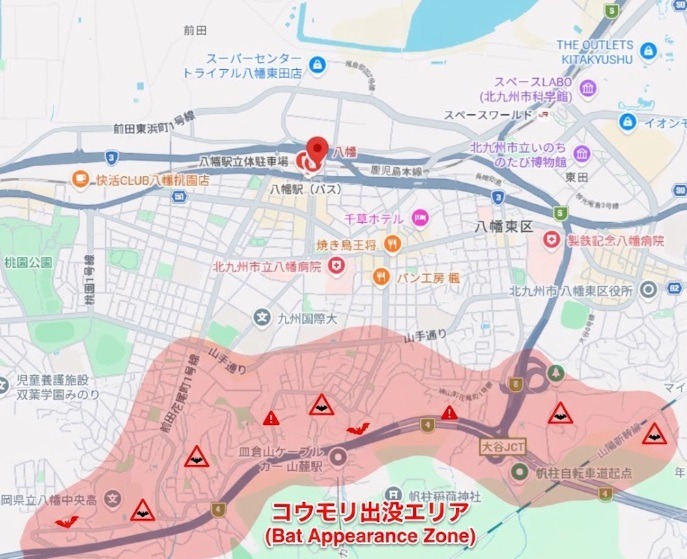 八幡駅周辺地区のコウモリ出没箇所