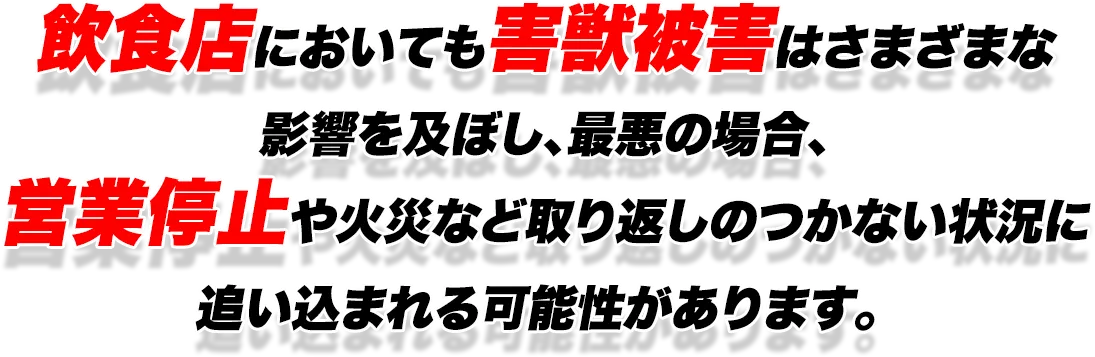 飲食店においても害獣被害はさまざまな影響を及ぼし、最悪の場合、営業停止や火災など取り返しのつかない状況に追い込まれる可能性があります。