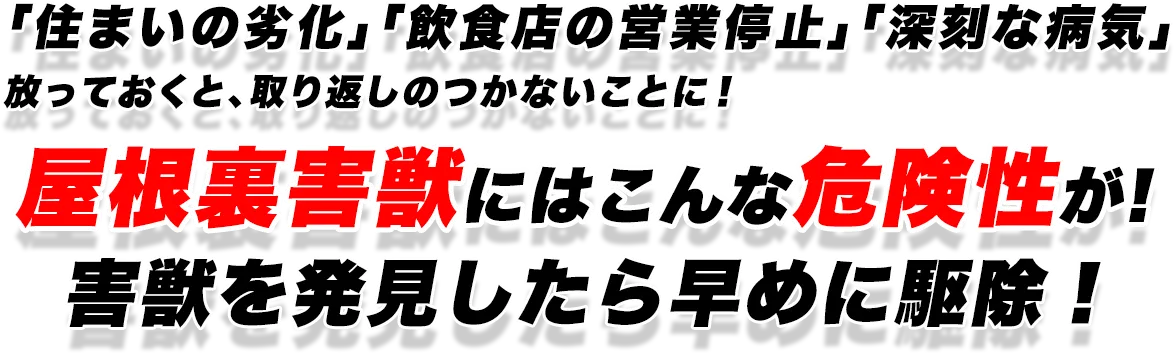 屋根裏害獣にはこんな危険性が!