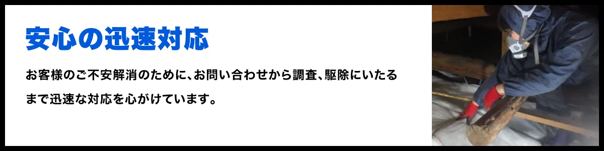 安心の迅速対応