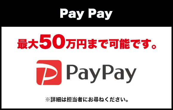 Pay Pay