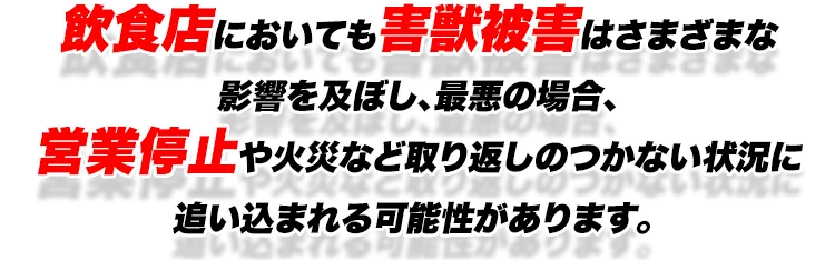 飲食店においても害獣被害はさまざまな影響を及ぼし、最悪の場合、営業停止や火災など取り返しのつかない状況に追い込まれる可能性があります。