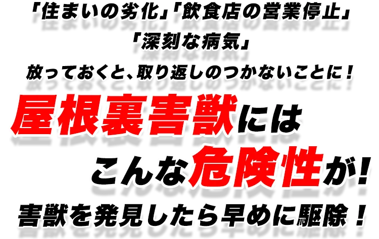 屋根裏害獣にはこんな危険性が!