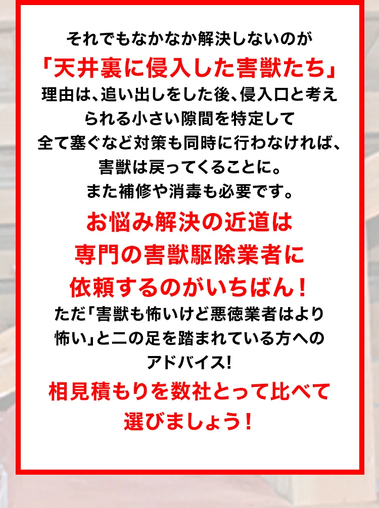 それでもなかなか解決しないのが「天井裏に侵入した害獣たち」理由は、追い出しをした後、侵入口と考えられる小さいを特定して全て塞ぐなど対策も同時に行わなければ、害獣は戻ってくることに。また補修や消毒も必要です。お悩み解決の近道は専門の害獣駆除業者に依頼するのがいちばん！ただ「害獣も怖いけど悪徳業者はより怖い」と二の足を踏まれている方へのアドバイス!相見積もりを数社とって比べて選びましょう！