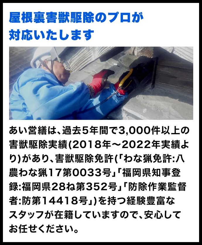 屋根裏害獣駆除のプロが対応いたします